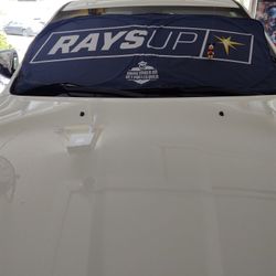 Rays Up Spring Loaded Foldable Windshield Screen