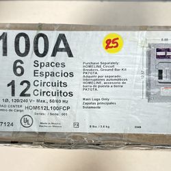 Square D Homeline 100 Amp 6-Space 12-Circuit Indoor Flush Mount Main Lug Load Center with Cover