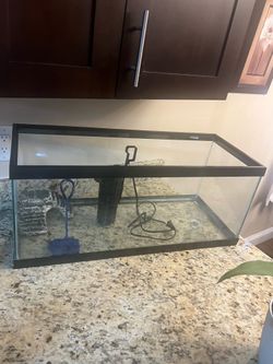40 gallon tank