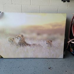 Wall Art Never USED