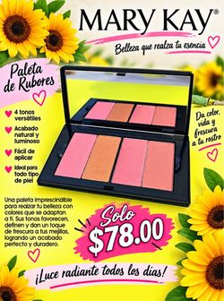 Mary Kay paleta de 4 rubores  precio $78.00