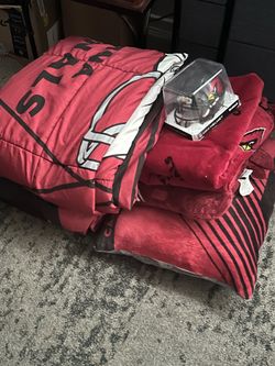 AZ CARDINALS LOT!!