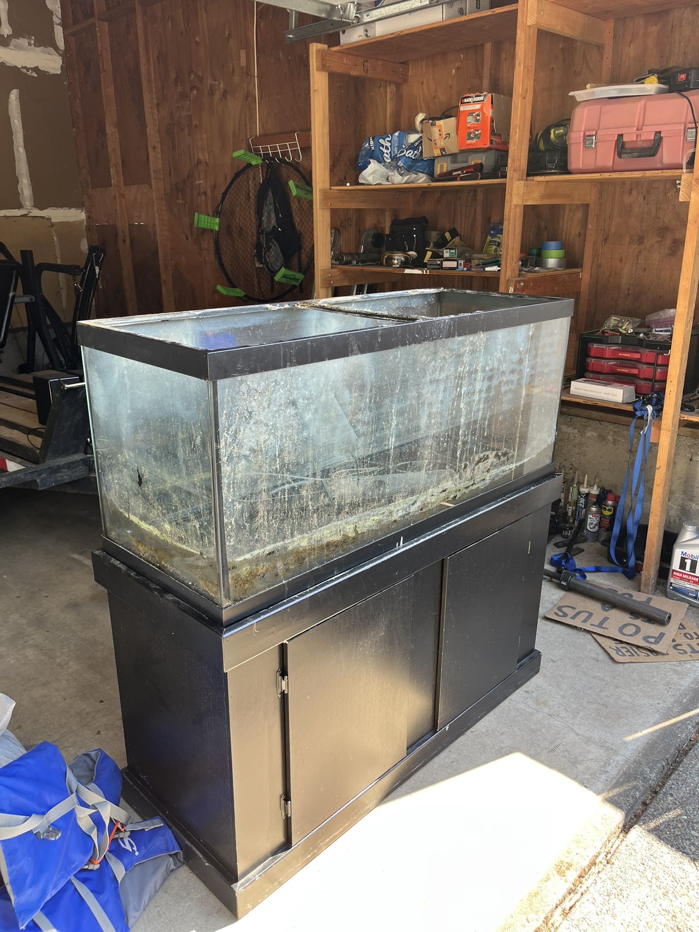 75 Gallon Fish Tank