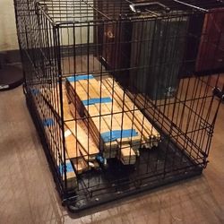 Animal Cage - Good Condition