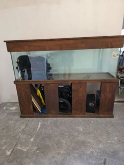 Aquarium
