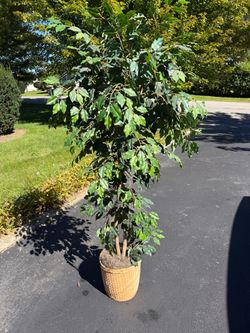 Artificial plant