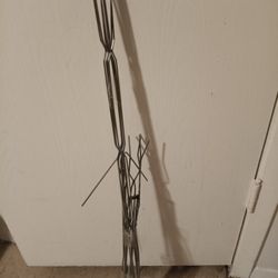 Campfirer Roasting Hotdogs& Marshmallows