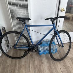 Custom Light fixie bike