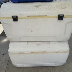 Igloo Coolers 