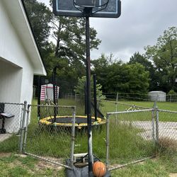 Basketball Goal and Basketball 