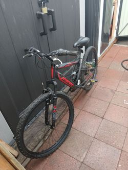 Bici