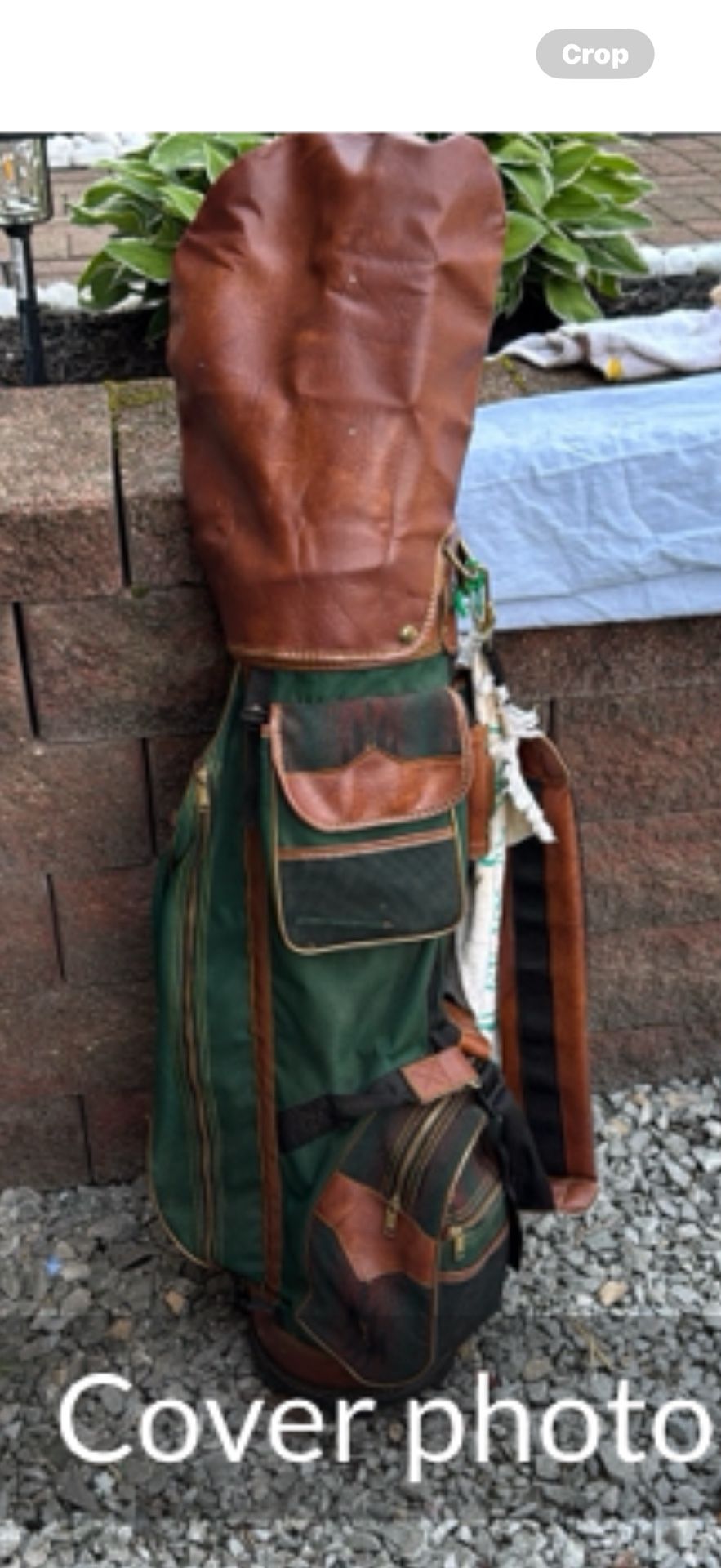 Bag And Golf Clubs