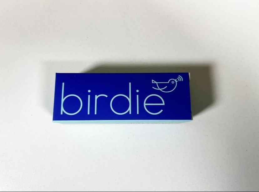 Birdie Personal Alarm