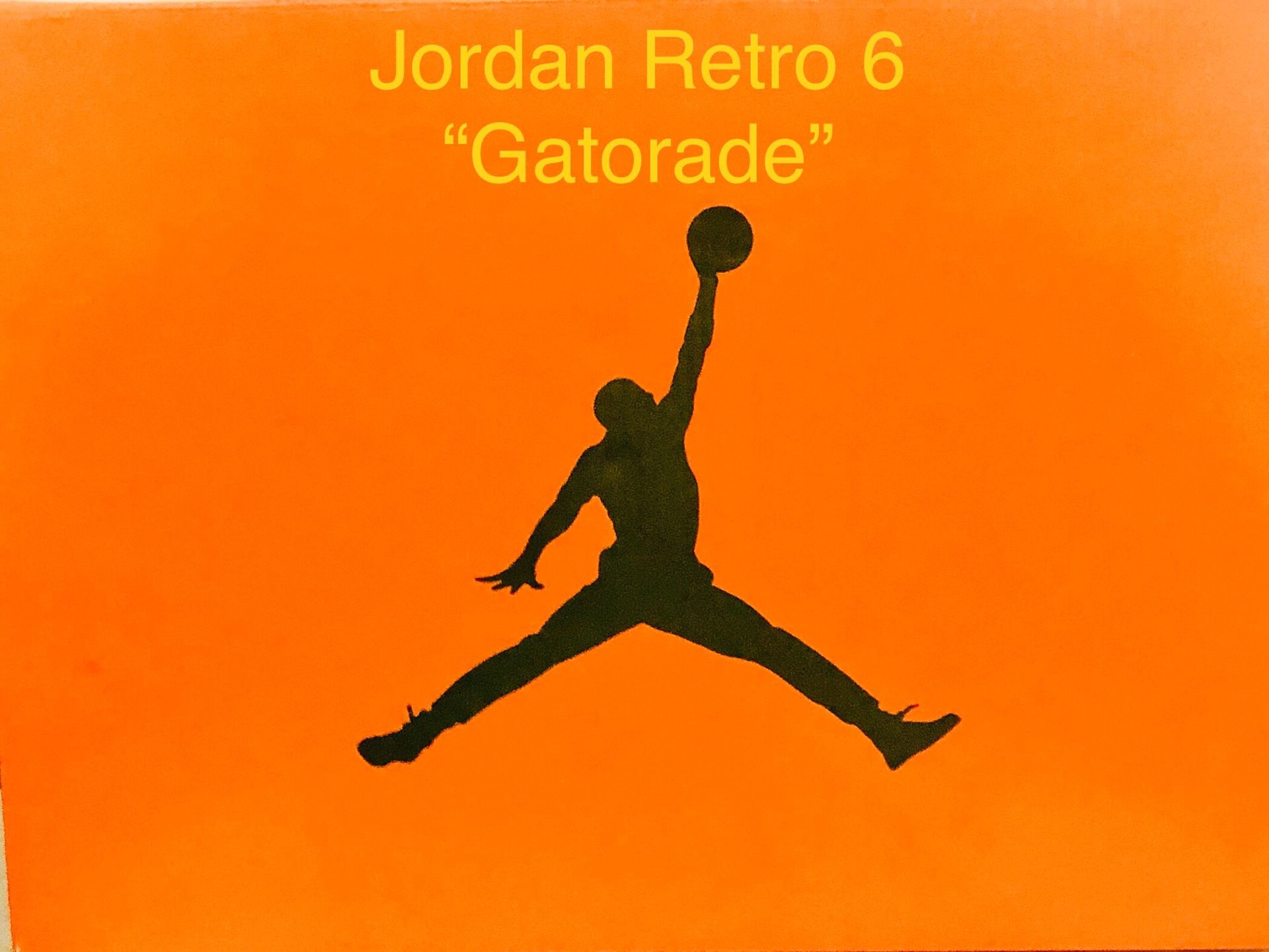 Jordan 6 Retro “Gatorade”