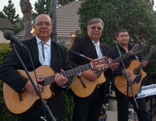 Bolero Guitars For Sale