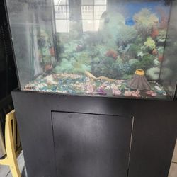 Pesera  De 30 Galones Con Filtro Y Mueble Completa