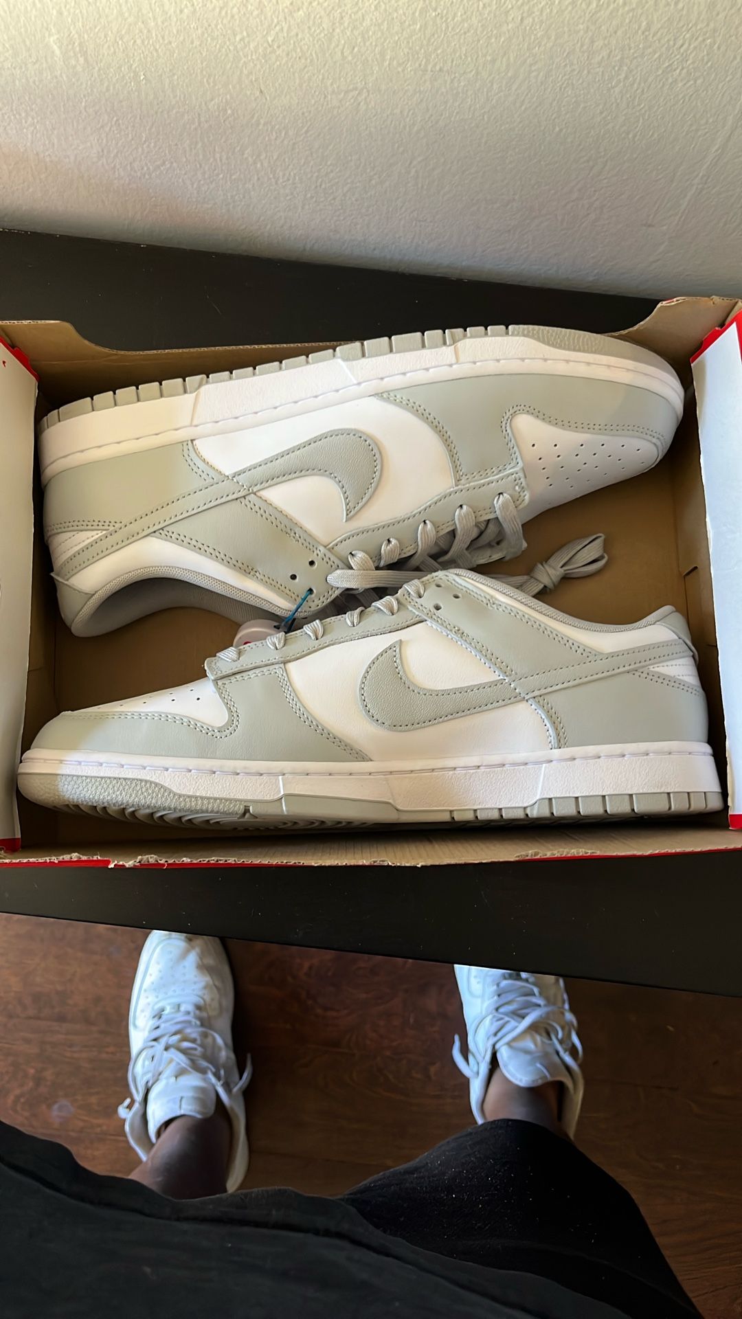 Nike Dunks