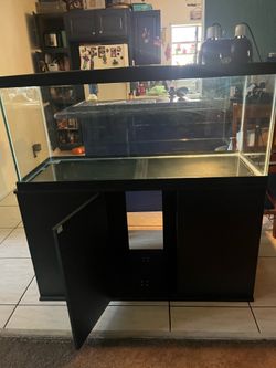 Reptile tank or Big Fish Tank