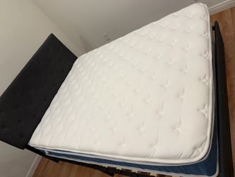 Queen Sized  Mattress