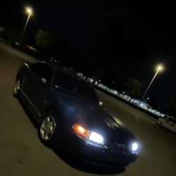 Mustang 2005 Coupe Manual