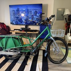 Rad Power Carbo E- bike