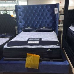 OM• $38 Initial • Brand New Bed Frame 