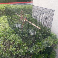 Cage For Your  Birds