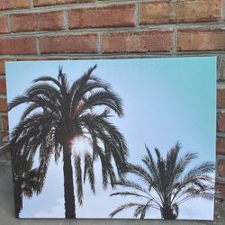 Palm Tree Canvas Wall Art