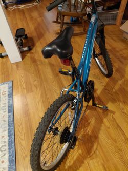 Boys 20 inch mountain bike (7 speed)