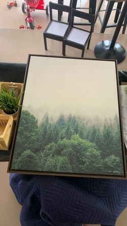 Artwork Forestry Landscape 