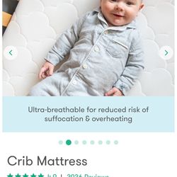 Newton Crib Mattress 