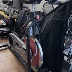 sunny health & fitness indoor spin bike 49lb flywheel sturdy