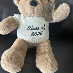 Class Of “2025” Bear & “2025” Decor