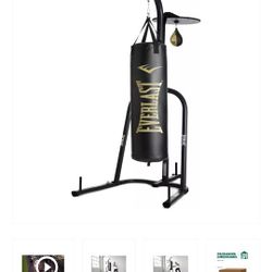 Everlast Punching Bag and Speed Bag Stand