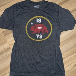 Levi’s Men Gray M Tshirt 