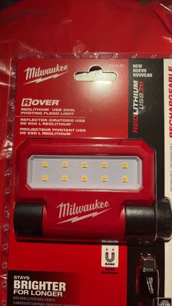 Pivoting flood Light 