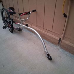 Trek Mountain Train Bike Trailer 