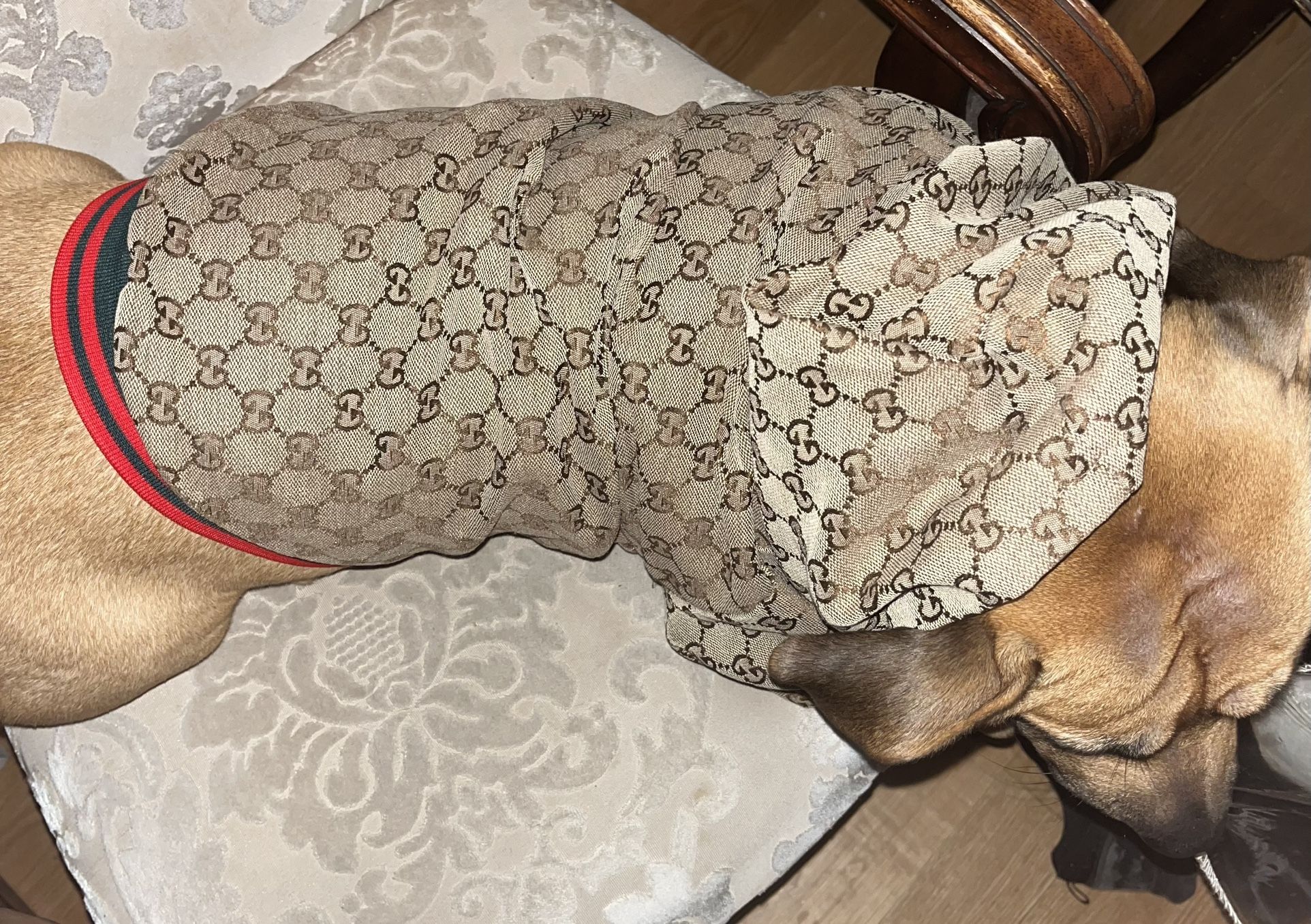 Dog Jacket Size Large