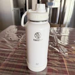 Takeya Water Bottle 