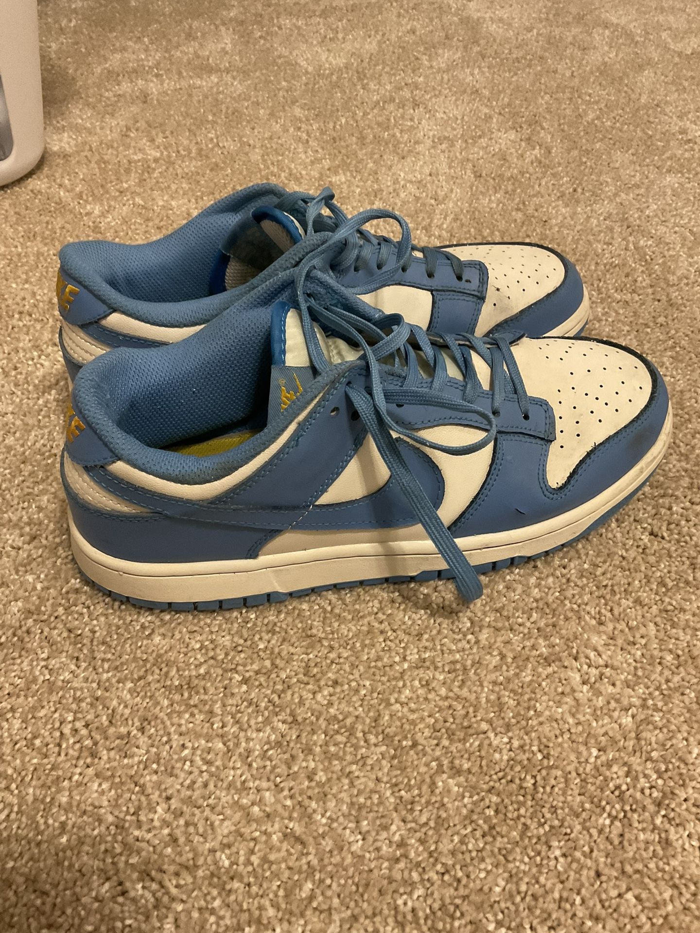 Nike Dunk Coast M 8.5