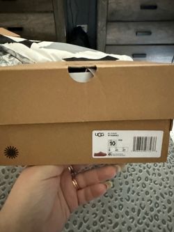 Uggs slippers