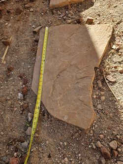 Pave stone Pavers