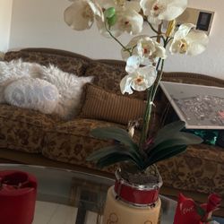 Valentine 💘 Artificial Orquit