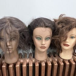 Mannequin Heads With Stand
