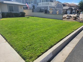 Lawn Maintenance