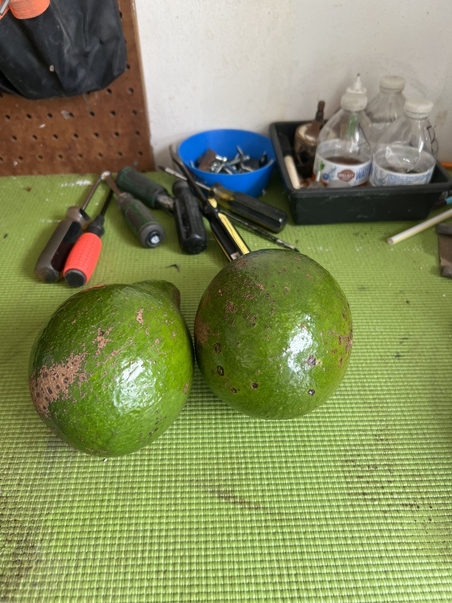 Aguacate De Diciembre 