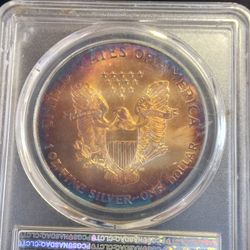 1995 MS68 MEGA TONER AMERICAN SILVER EAGLE PCGS
