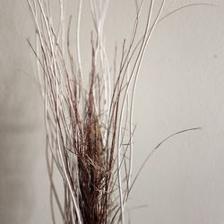 7.7 Ft White Brown Natural Decorative Dry Branches Authentic Willow Birch Sticks for Home Decoration, Wedding Craft, and Floor Vase