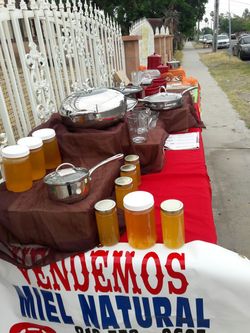 Miel 100 % pura y princces house