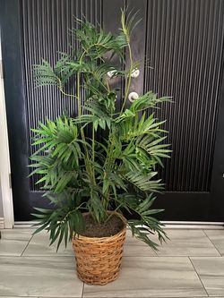 Artificial Plant
